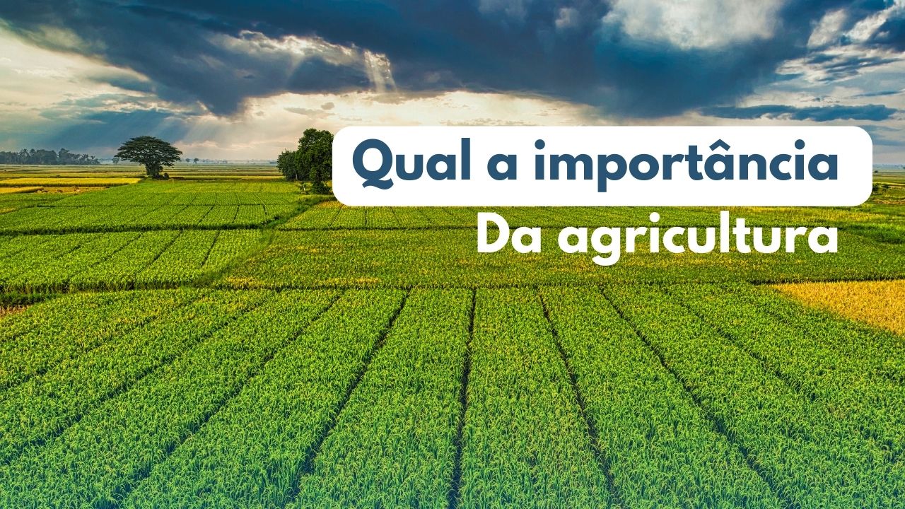 Qual a importância da agricultura?