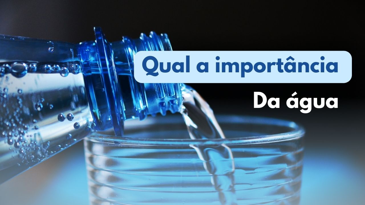 Qual a importância da água?