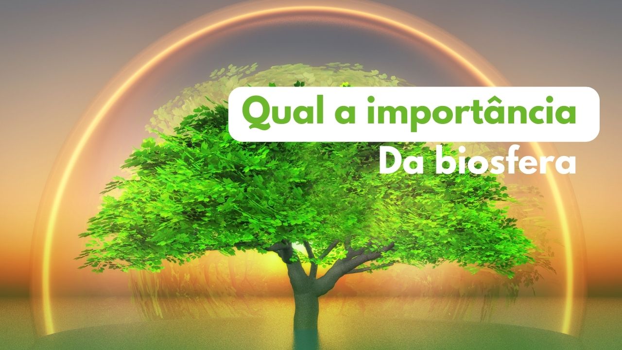 Qual a importância da biosfera?