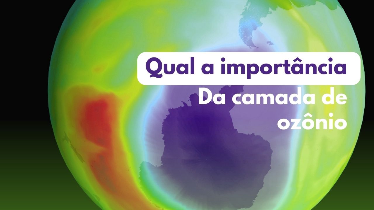 Qual a importância da camada de ozônio?