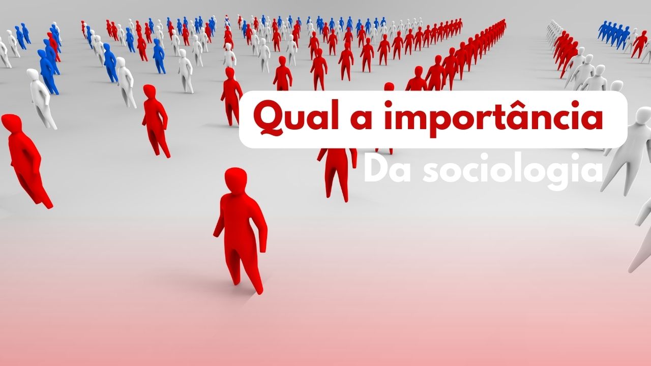 Qual a importância da sociologia?