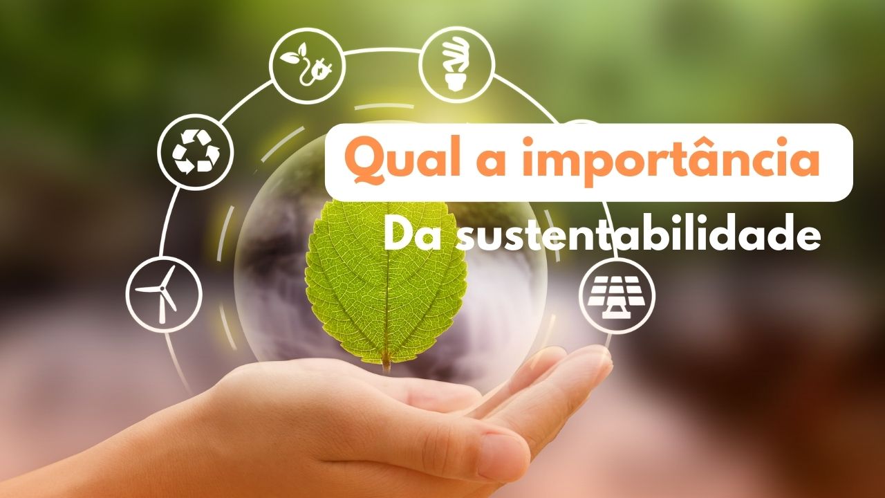 Qual a importância da sustentabilidade?