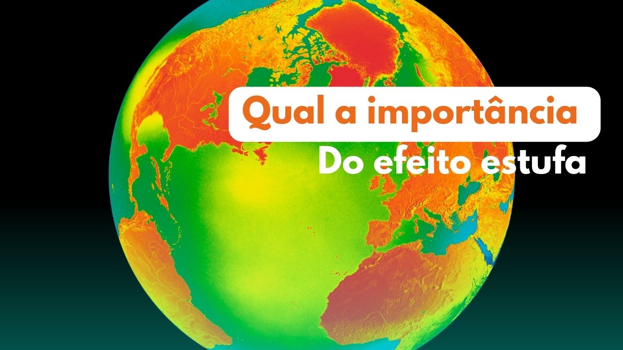 Qual a importância do efeito estufa?