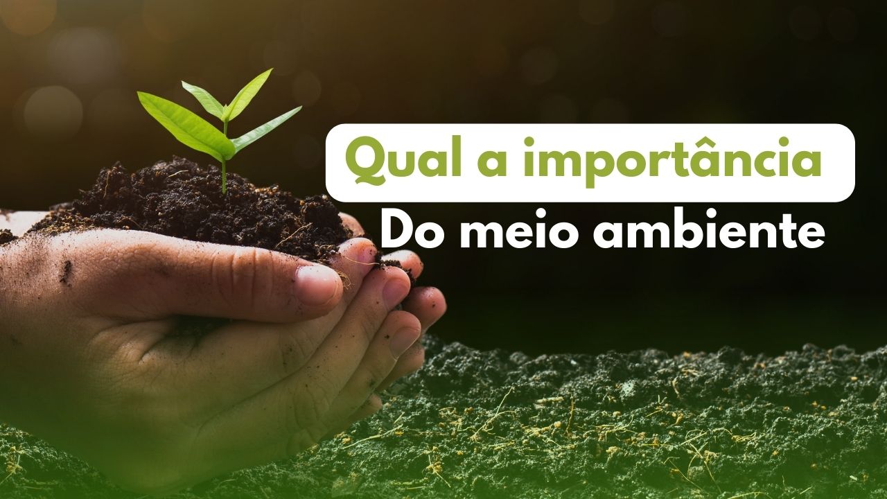 Qual a importância do meio ambiente?